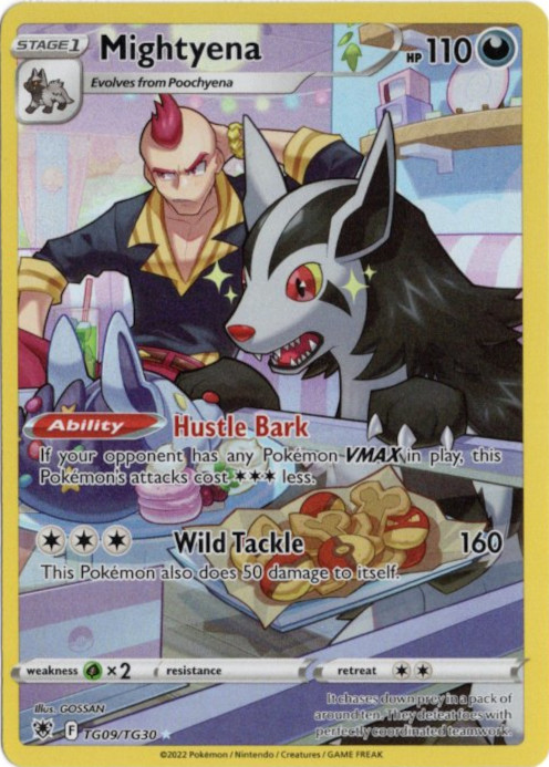 グラエナ CHR 海外版 英語版 Mightyena - TG09/TG30 -【Card Chicken】