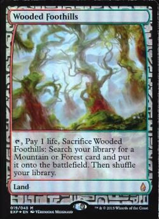 EX+](FOIL)樹木茂る山麓/Wooded Foothills《英語》【EXP】