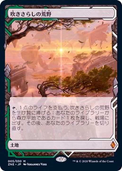 mtg 吹きさらしの荒野 4枚 旧枠 日本語 06101445_6666930d20ec7.jpg