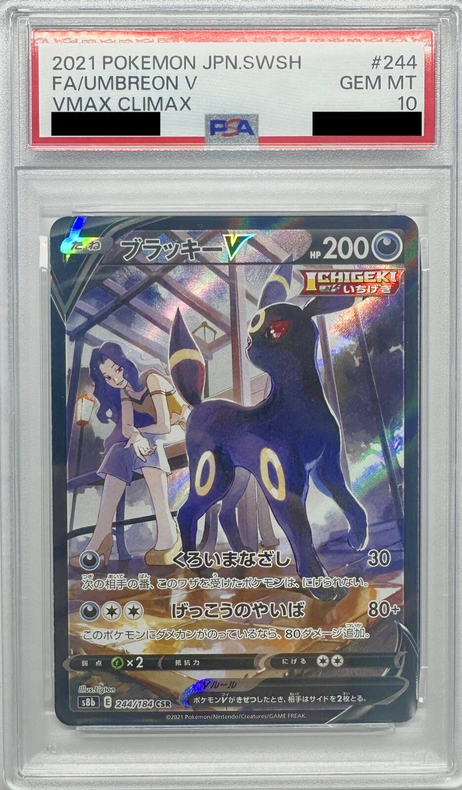 PSA10鑑定済〕ブラッキーV【CSR】{244/184} - カードショップわいTV