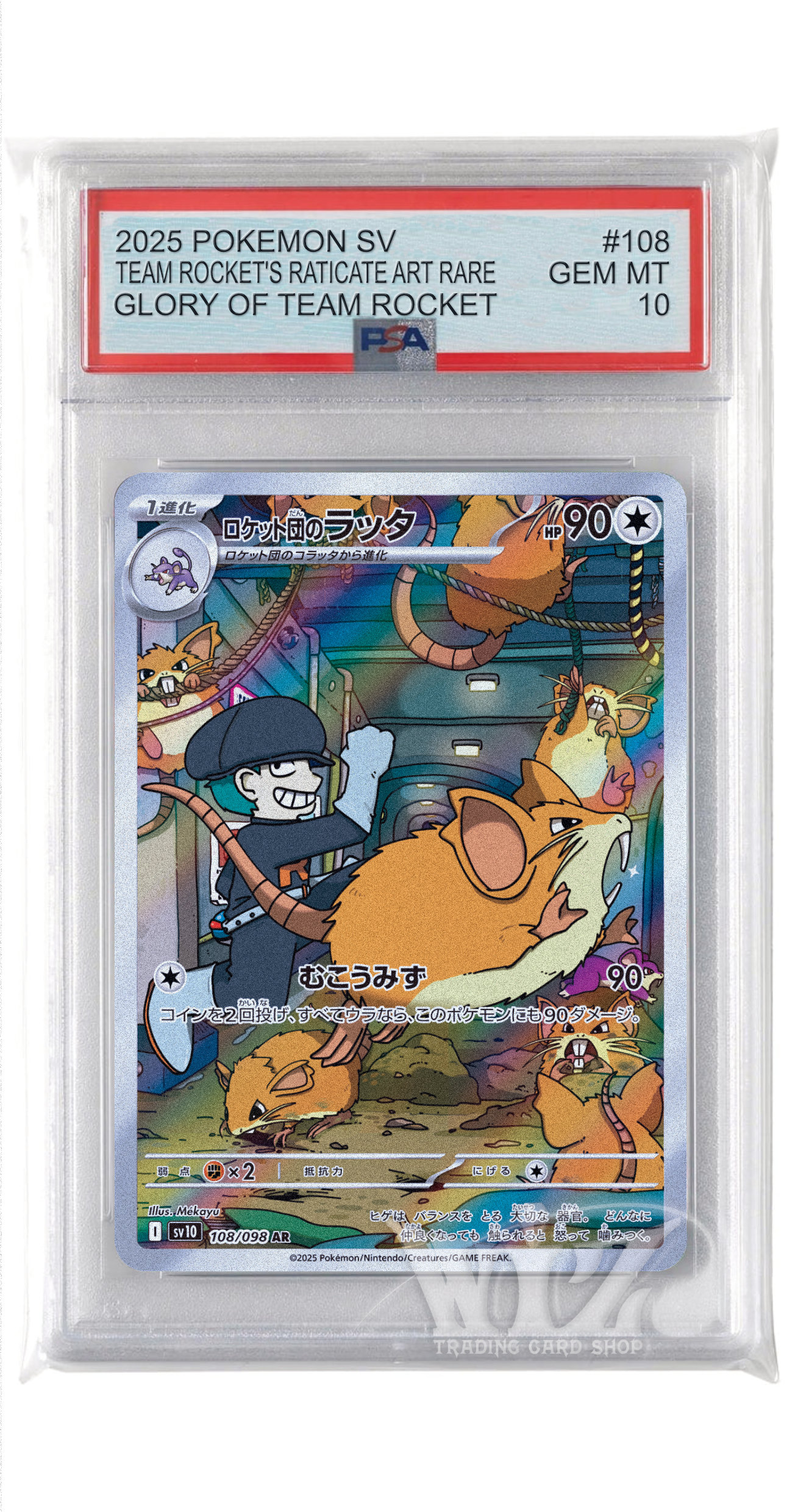 PSA10]ロケット団のラッタ【AR】〈108/098〉(無) - カードショップWiZ