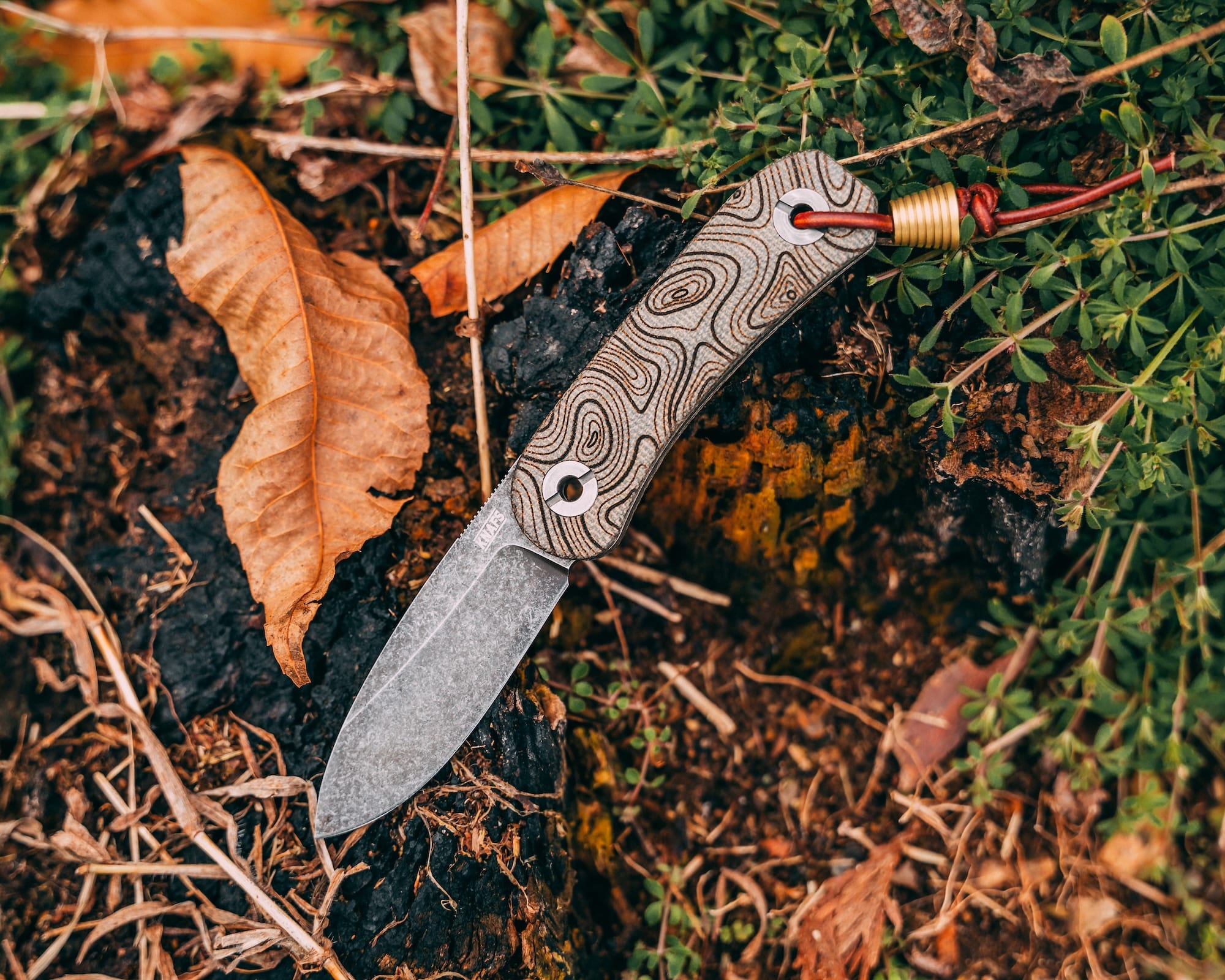 Lander 4 – Carry Commission