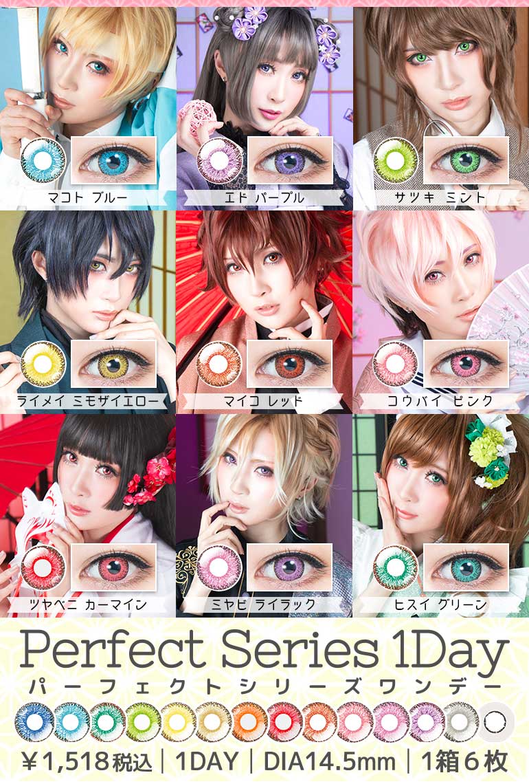 パーフェクトシリーズワンデーパーフェクトシリーズ ワンデー