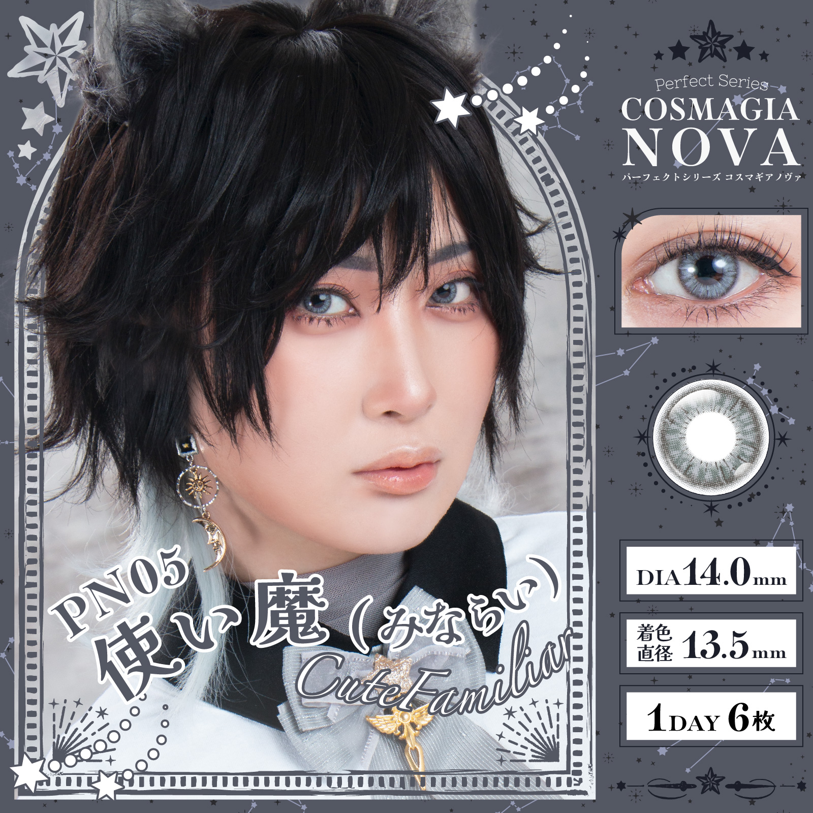 パーフェクトシリーズ コスマギア NOVA【PN06 使い魔(みならい)】(6枚
