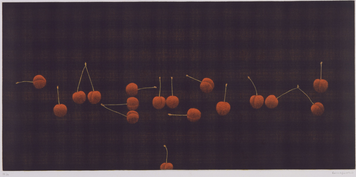 20世紀版画の巨匠 浜口陽三展 | 企画展 | 千葉市美術館