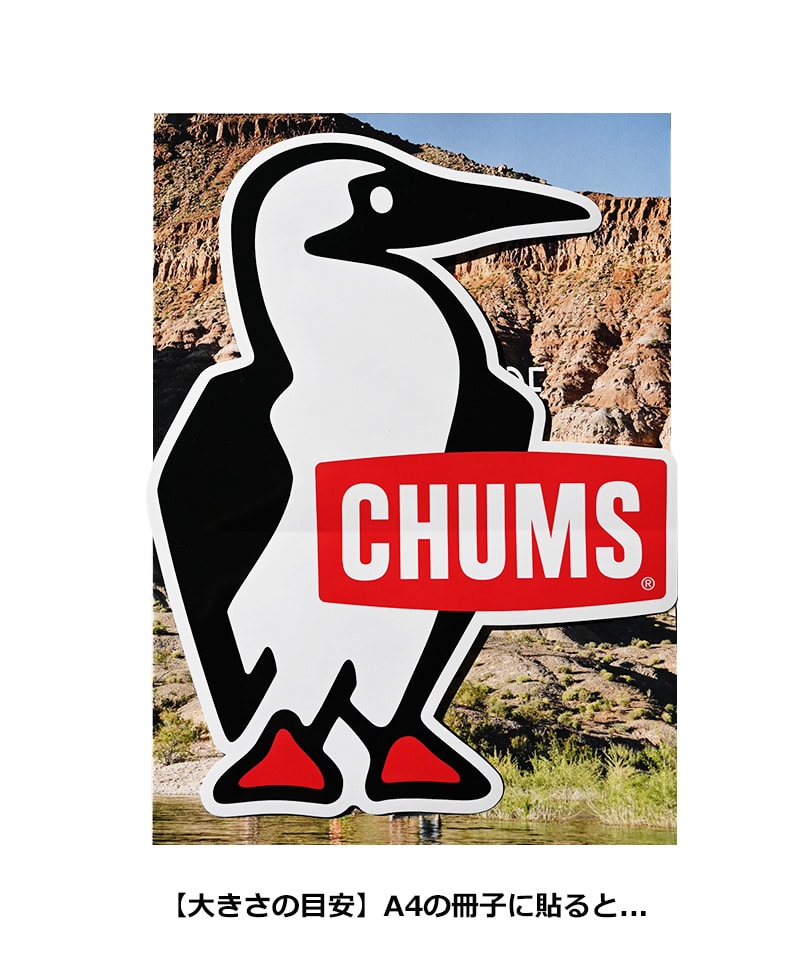 CHUMS Sticker Big Booby Bird|CHUMS(チャムス)|アウトドア