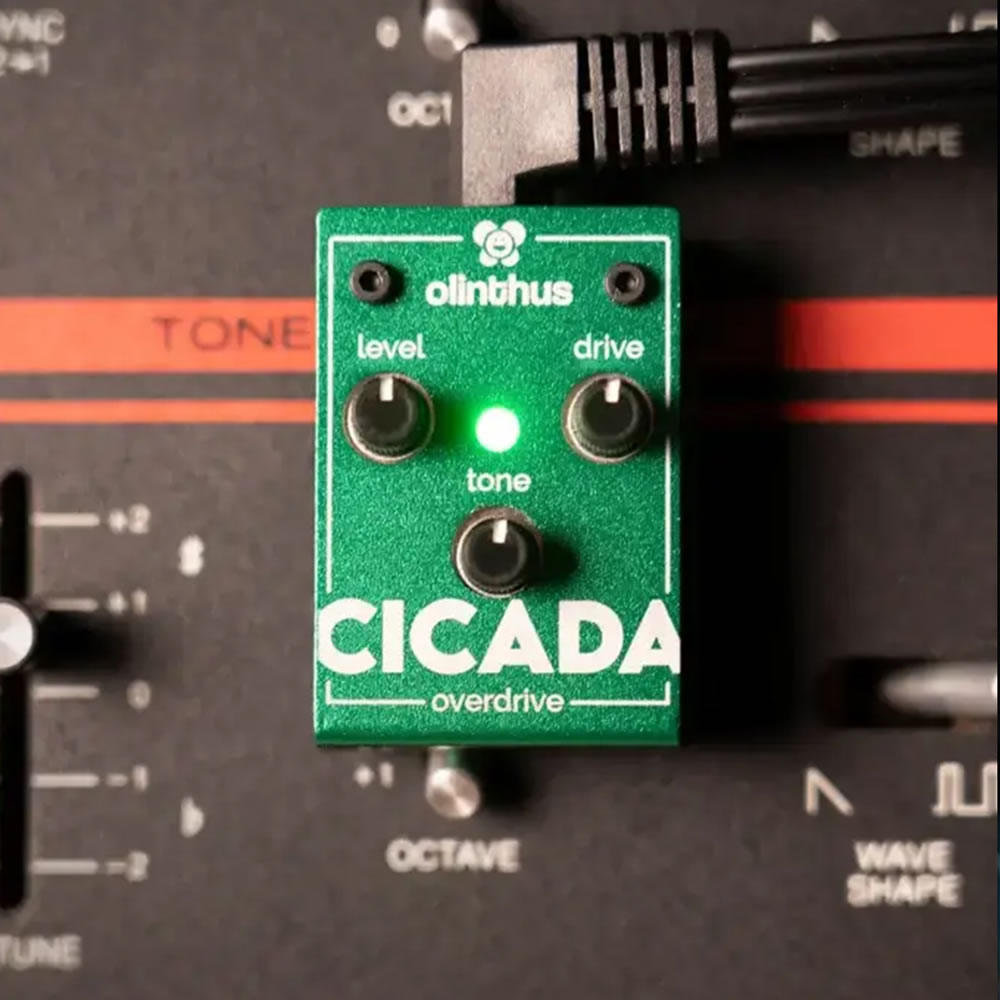 エフェクター Olinthus CICADA 超小型エフェクター オーバードライブ