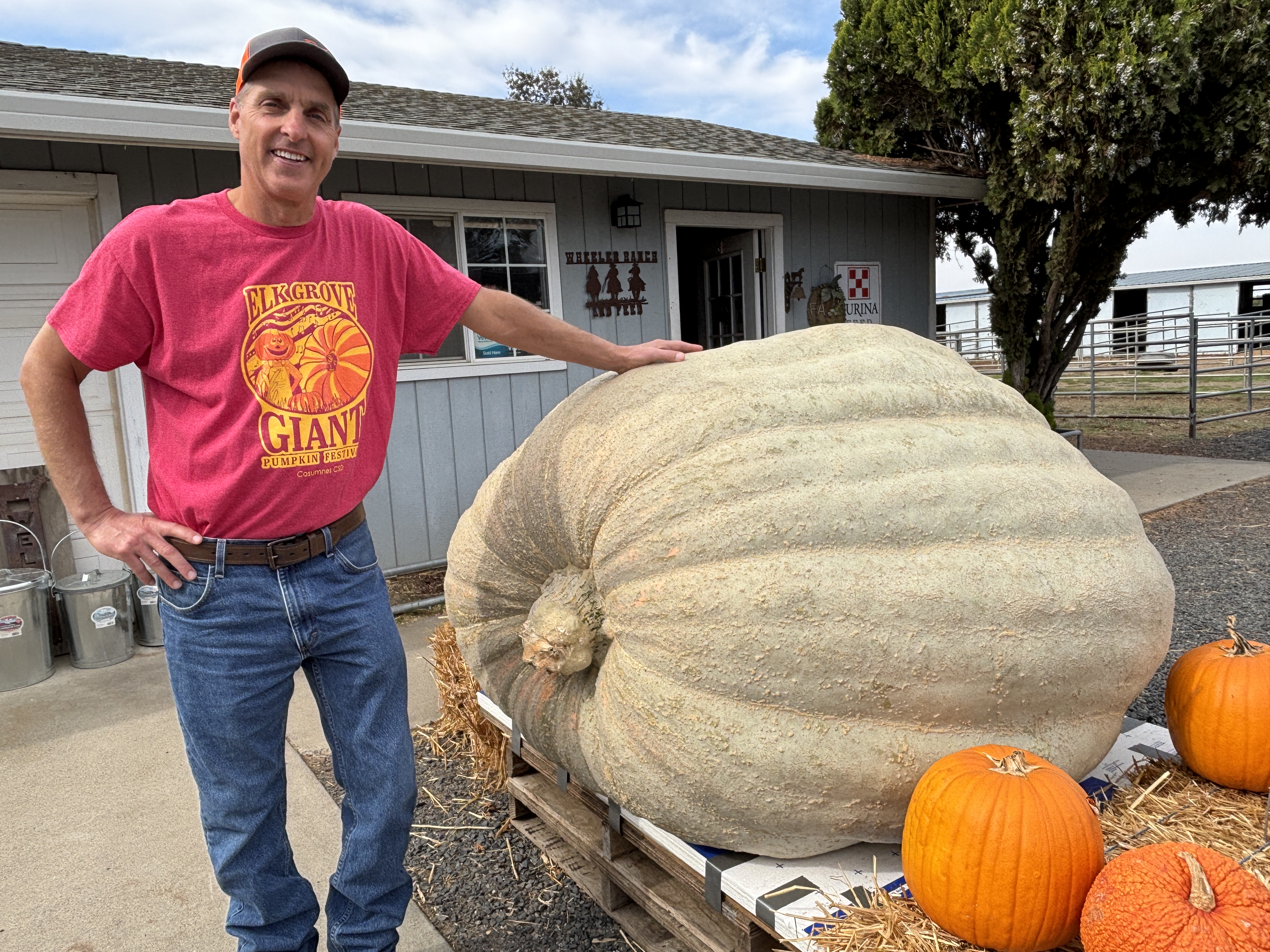 PUMPKIN-01-01.jpg?w=1800&