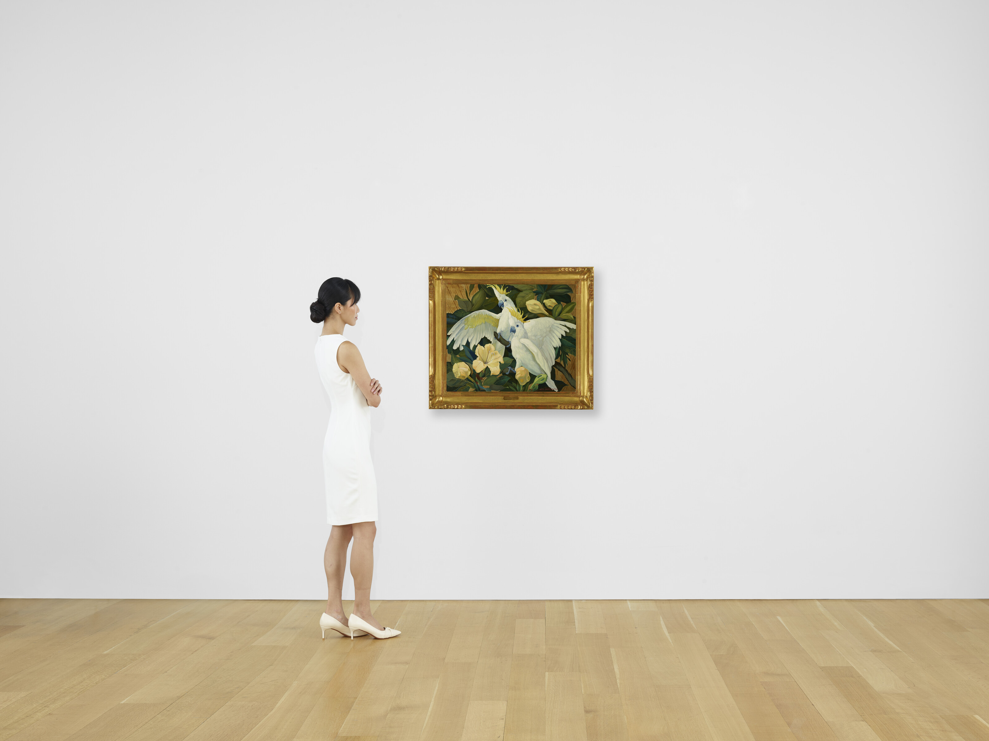 JESSIE ARMS BOTKE (1883-1971), Two Cockatoos | Christie's