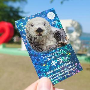 鳥羽市ふるさと応援大使について／鳥羽市ホームページ