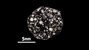 QRコード展示解説「アエンデ隕石・マーチソン隕石」 - 愛知県蒲郡市