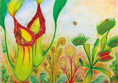 弥生の里児童画大賞展作品集（第26回（平成29年度））｜春日市