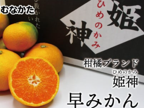 姫神ブランド「早味かん」 / 福岡県宗像市公式サイト