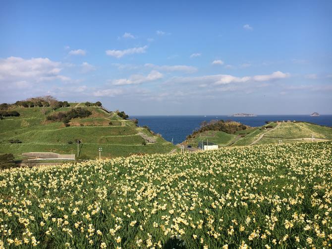 長崎のもざき恐竜パーク（旧野母崎総合運動公園） 眺めを楽しむ公園