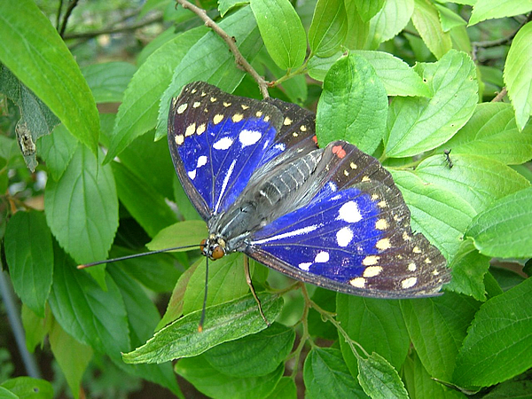 自然観察ゾーン | 下妻市公式ホームページ