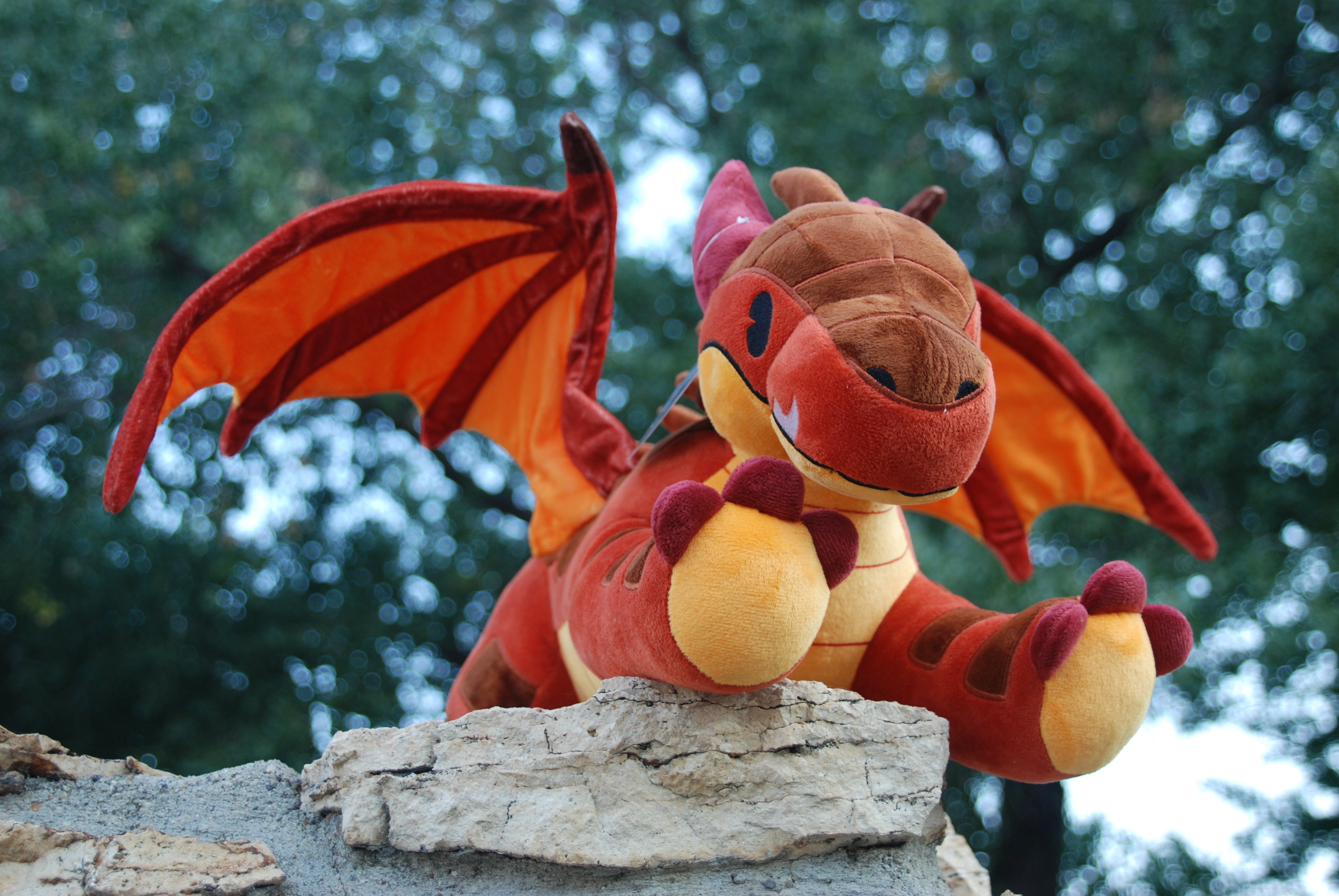 DSC_3155.jpg?v=1662613954&