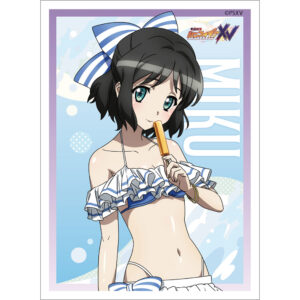 カーテン魂】 シンフォギア