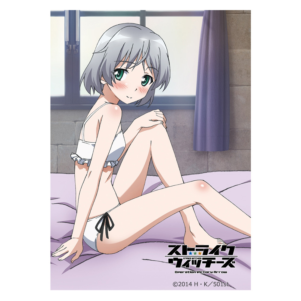 ストライクウィッチーズ]スリーブ（サーニャ・V・リトヴャク）