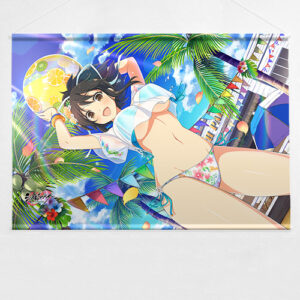 シノビマスター 閃乱カグラ NEW LINK