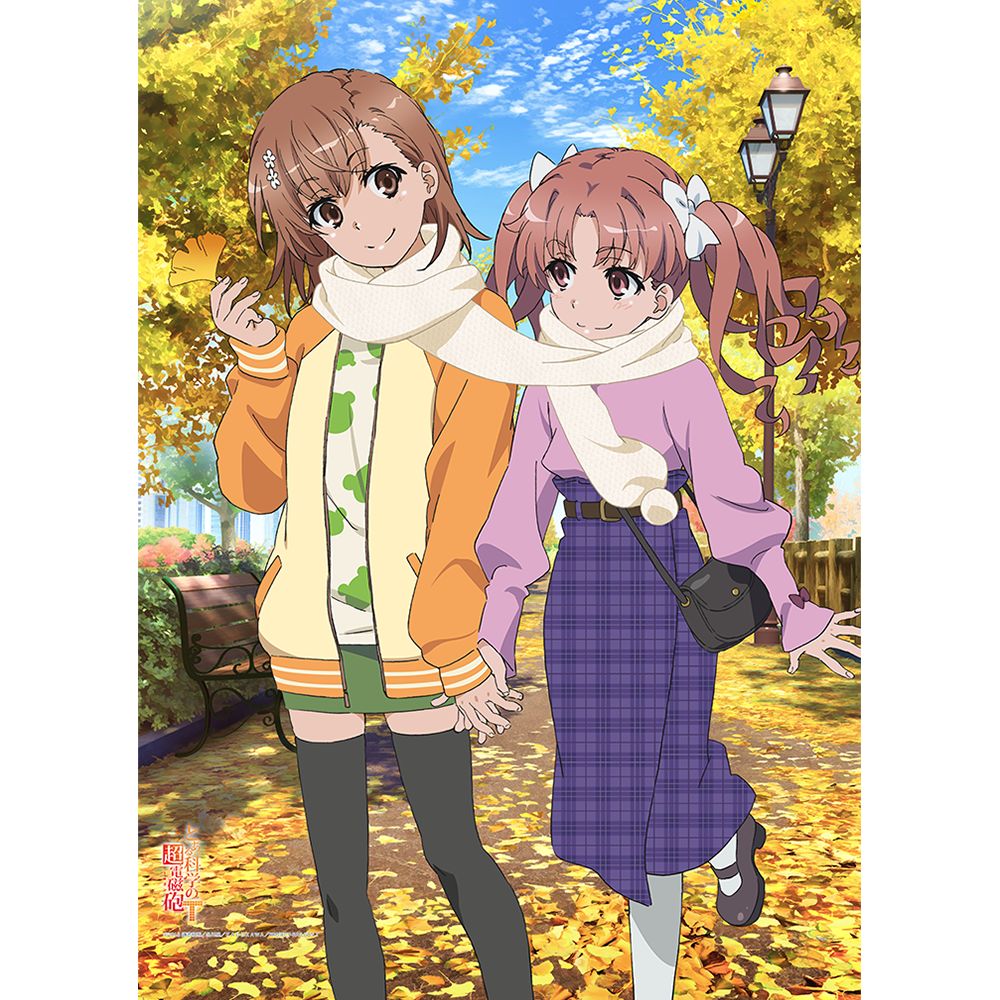 とある科学の超電磁砲T]B2タペストリー（御坂美琴＆白井黒子）