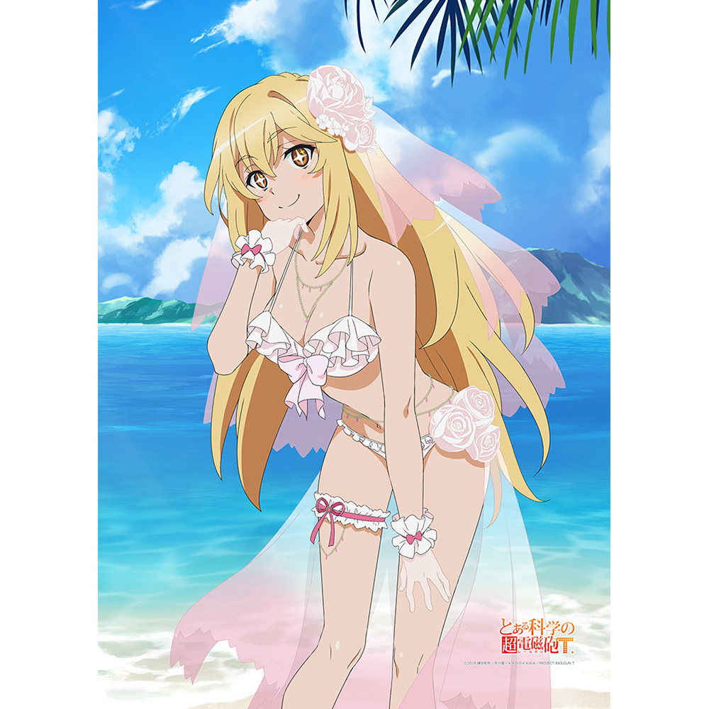 とある科学の超電磁砲T]描き下ろしB2タペストリー（食蜂操祈