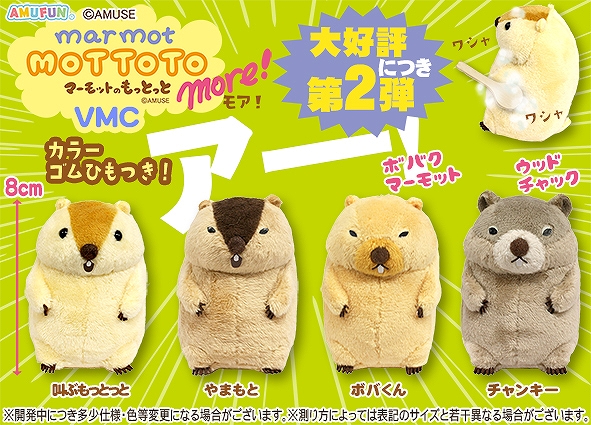 ≪7月の新商品≫マーモットのもっとっとモア-NEW ITEM！｜アミューズ