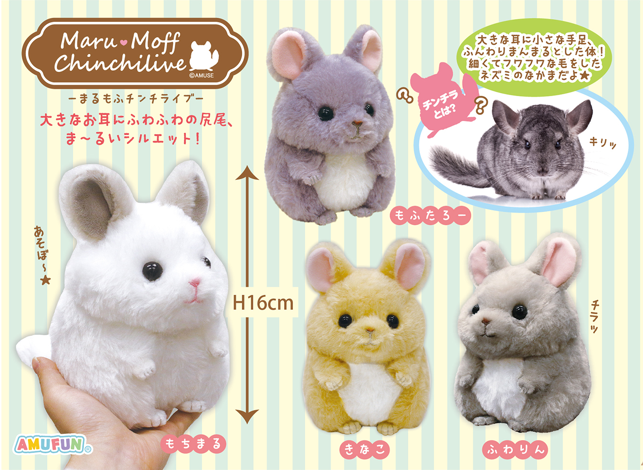 ≪4月の新商品≫アミューズプライズーNEW ITEM！☆まるもふチンチラ