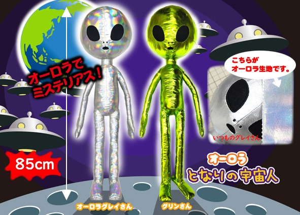 ≪1月の新商品≫アミューズプライズーNEW ITEM！☆オーロラとなりの