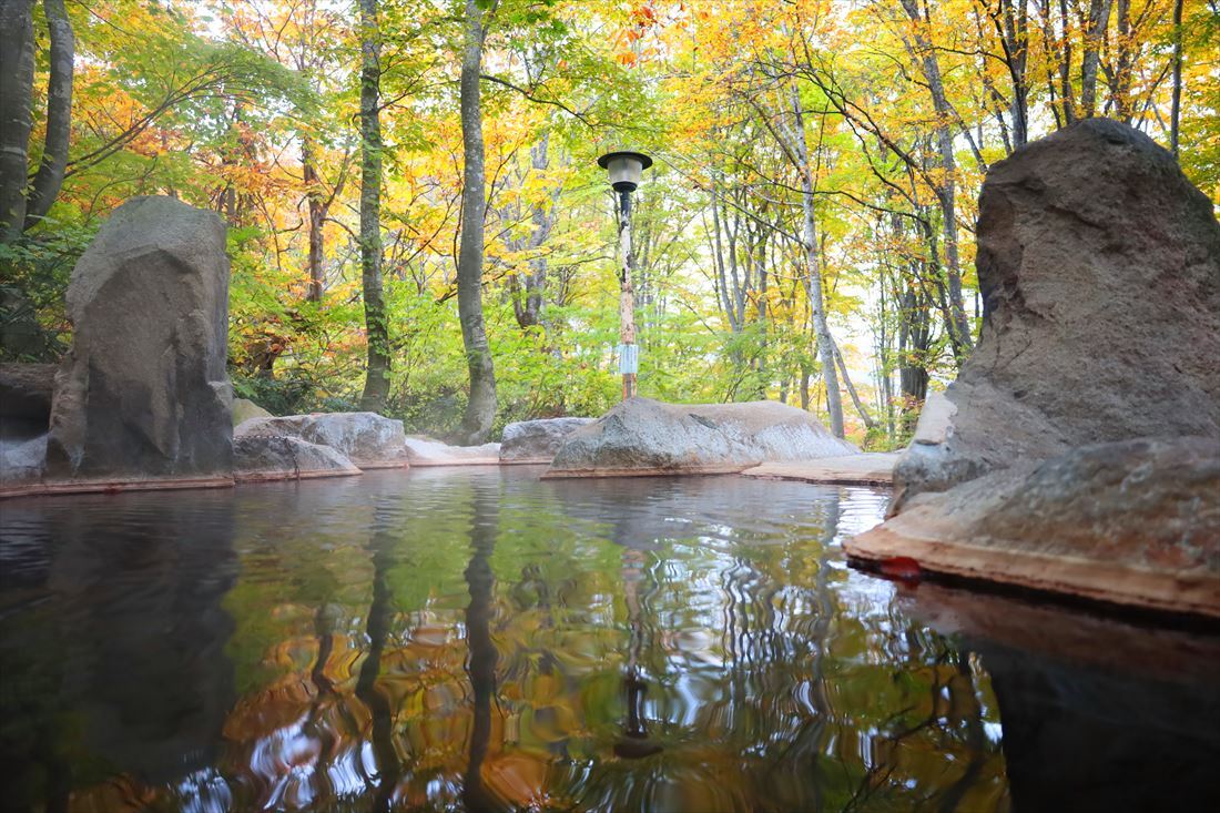 2025/10/31 今だけ！3段紅葉をお楽しみください！ | 雨飾荘 | 自然に