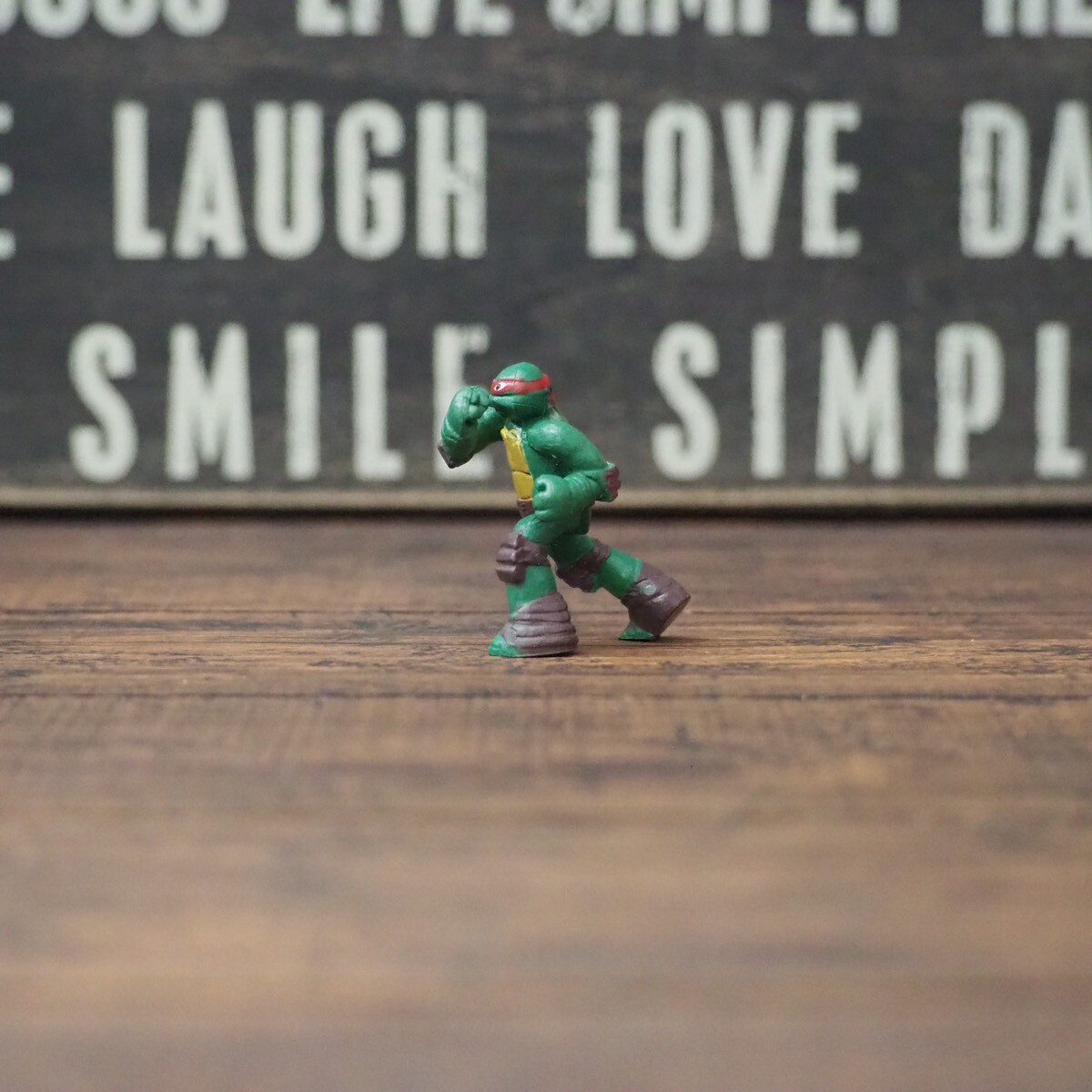 タートルズ フィギュア ミュータント・タートルズ