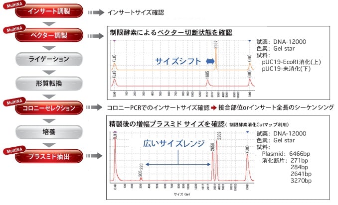 試薬キットDNA－12000 : 分析計測機器（分析装置） 島津製作所