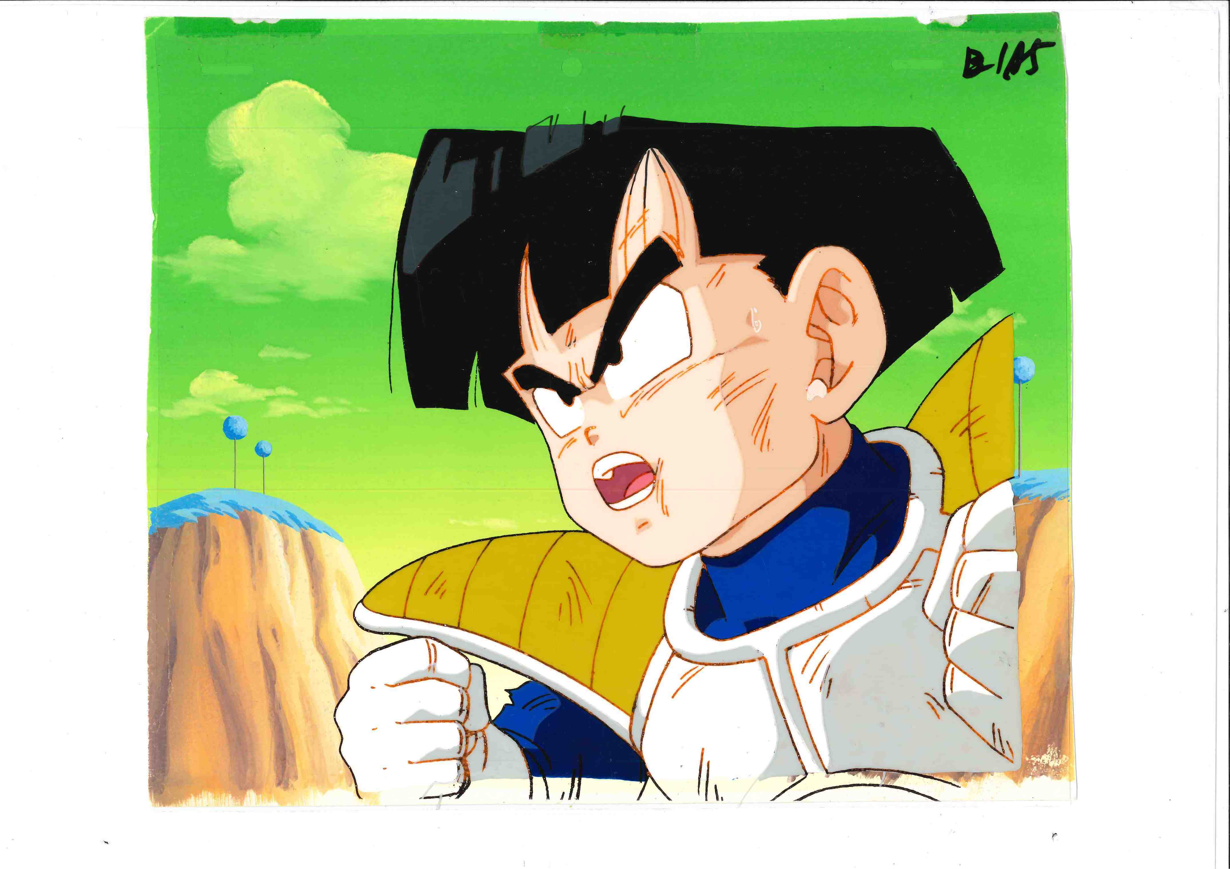 ドラゴンボール セル画102 ※割引対象外商品 商品詳細｜セル画