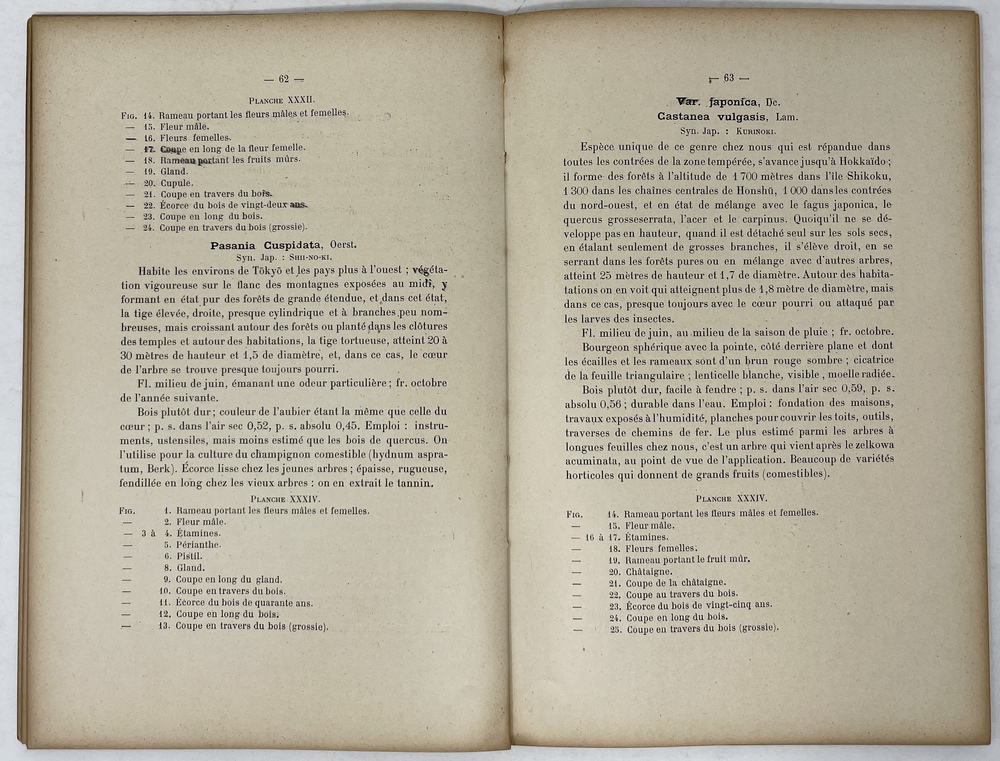 日本森林樹木図譜』第1巻（テキスト編） - 青羽古書店 AOBANE