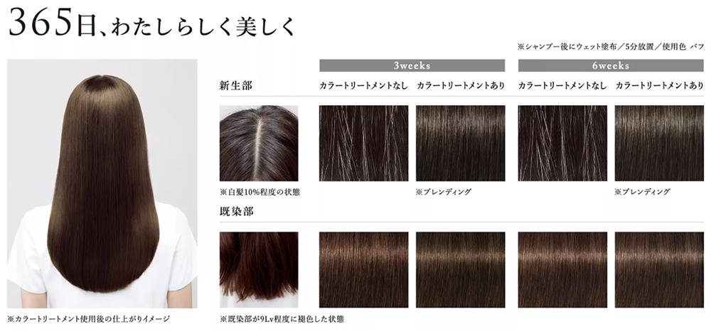 シュワルツコフ テラ カラートリートメント マホガニー 180g--の