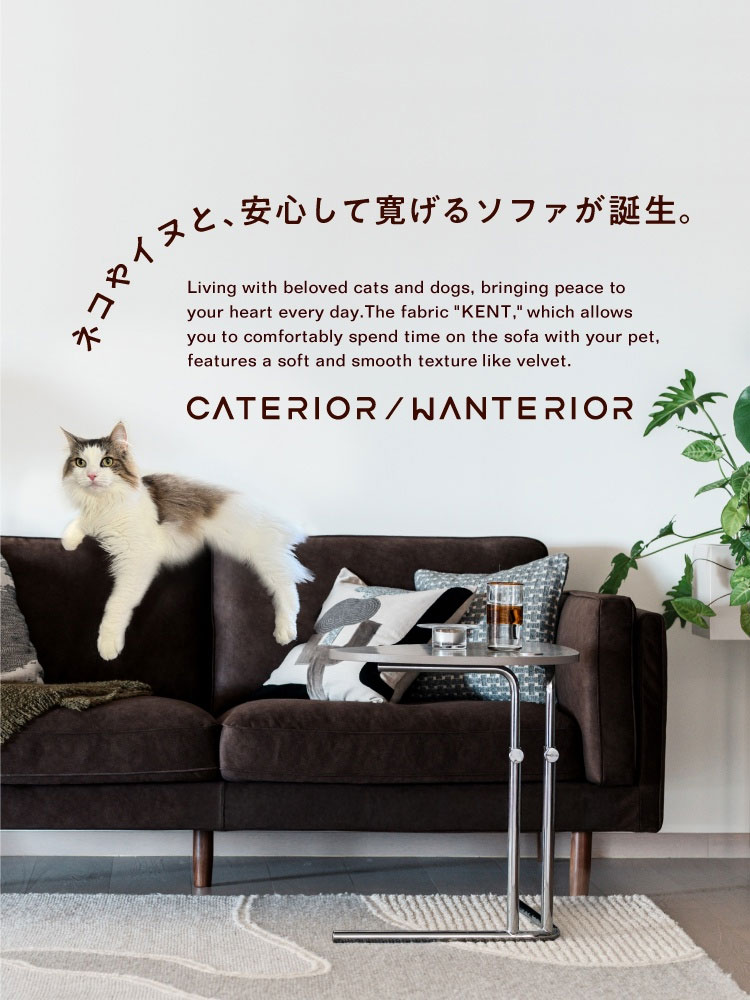 ネコやイヌと、 快適にくつろげるソファが誕生「KENT」生地