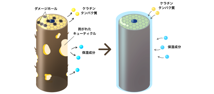 adnetAMASIA INPITARIadnet