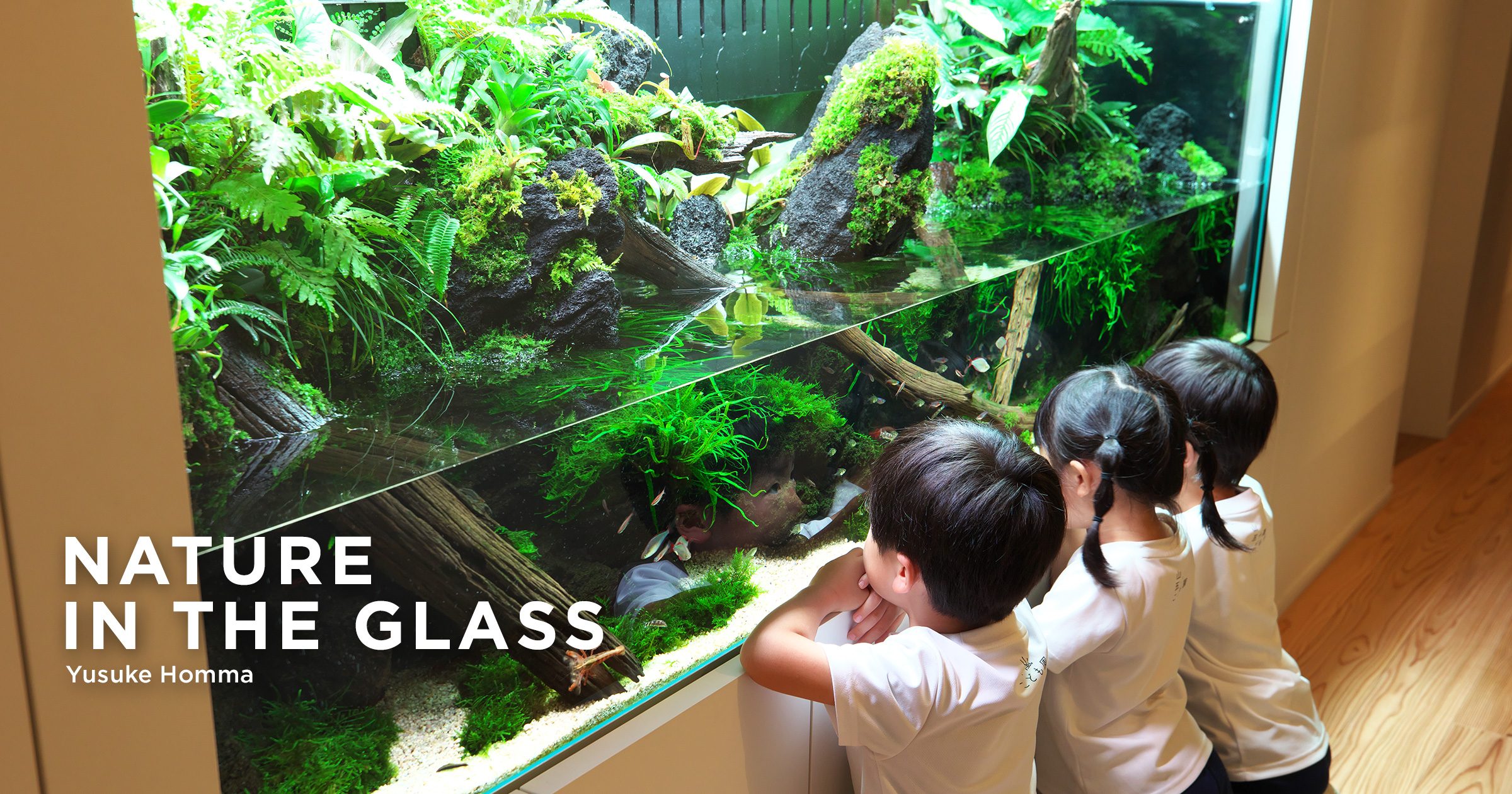 NATURE IN THE GLASS 「水辺のふしぎな世界」 | AQUA DESIGN AMANO