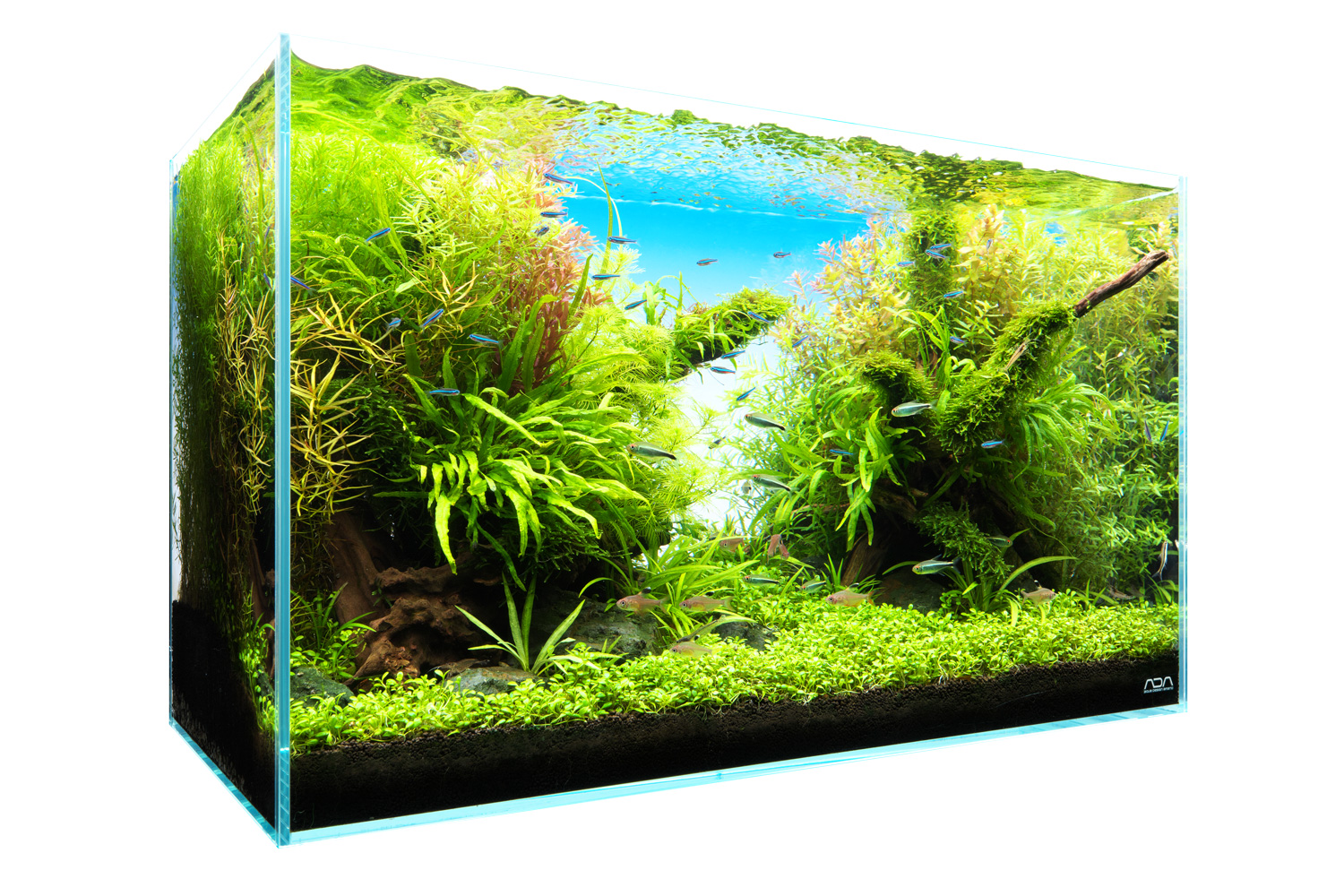 NATURE IN THE GLASS 「ライト・オブ・ワールズ」 | AQUA DESIGN AMANO