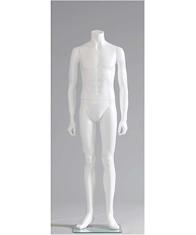 婦人腕付き布ボディ SL350-1P｜トルソー（ファブリック）レンタルなら