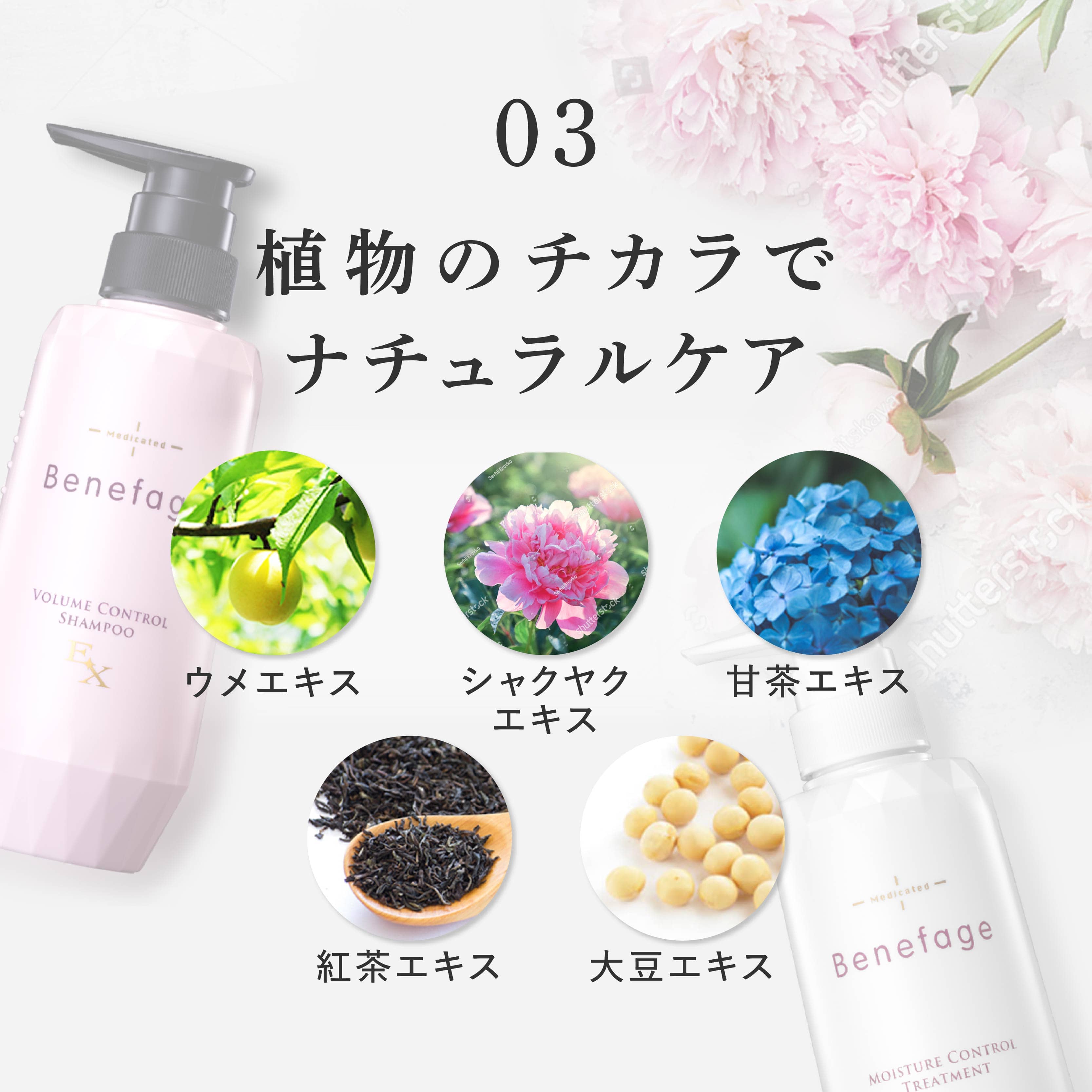 ボリュームエスコート＆【旧モデル】ベネファージュ 薬用モイスチャー