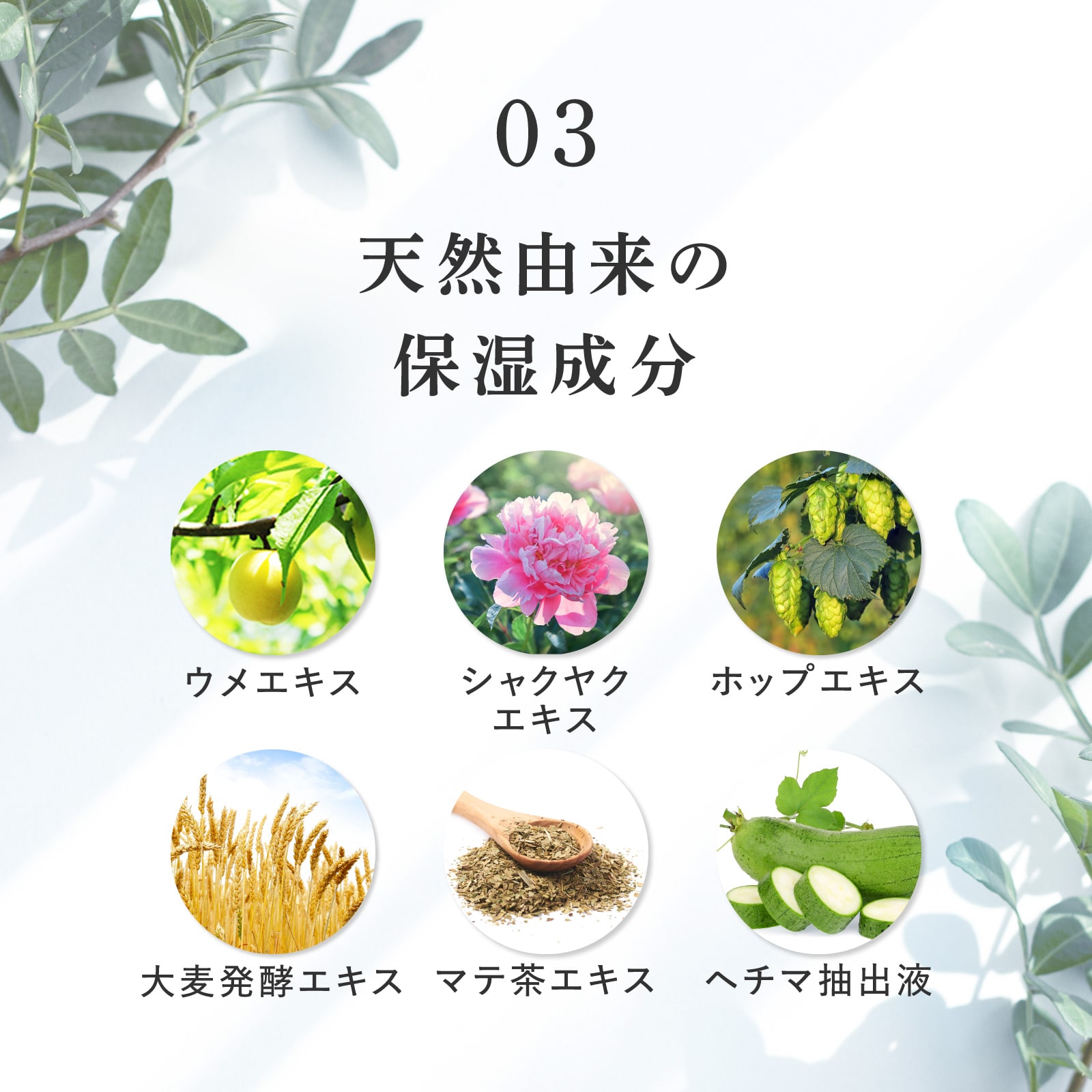 ヘアリプロ 薬用スカルプシャンプーEX(ノーマル＆ドライ) Mサロン品質