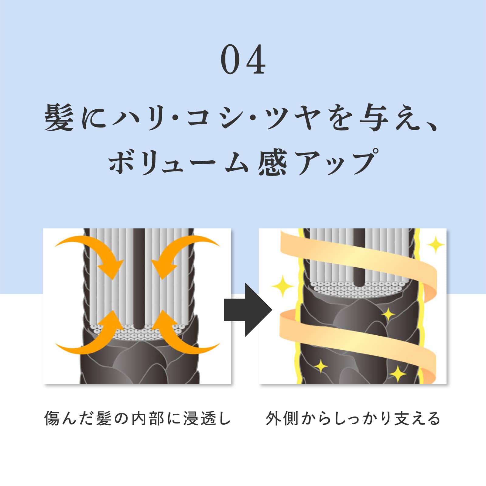 ヘアリプロ 薬用スカルプシャンプーEX(ノーマル＆ドライ) Mサロン品質