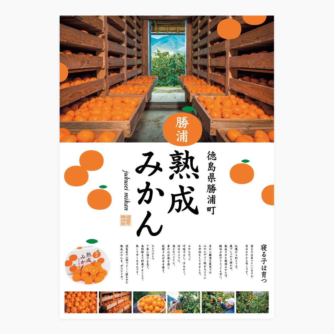 勝浦みかん ブランドPRポスター - AD FAHREN