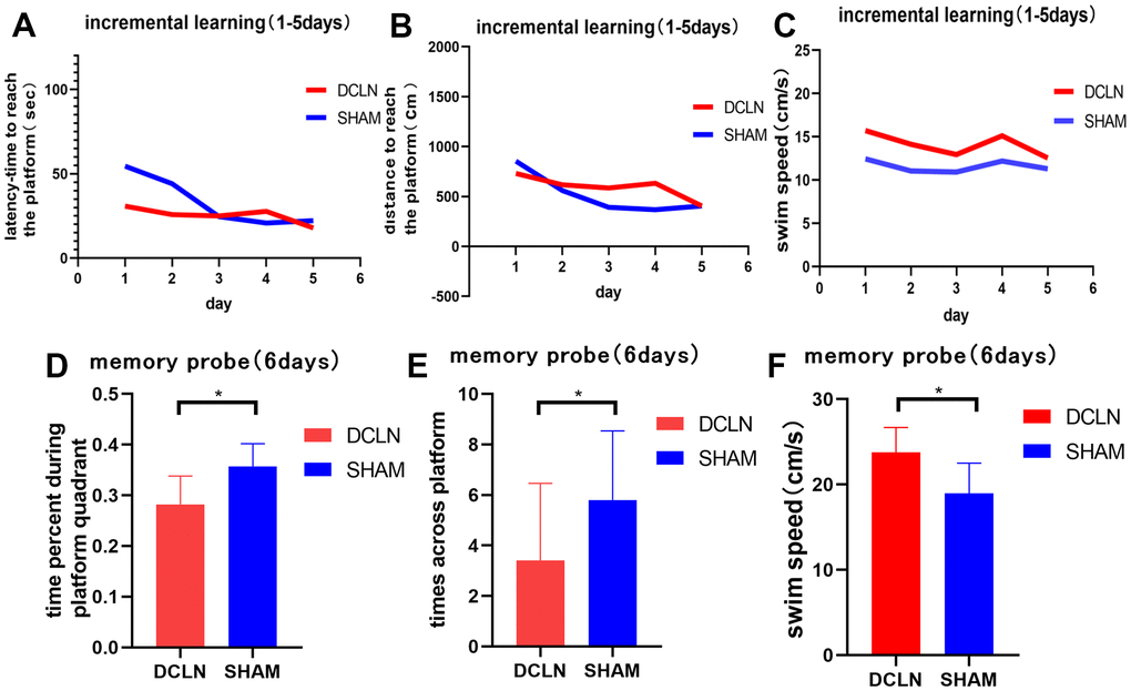 Imaging of brain clearance pathways via MRI assessment of the