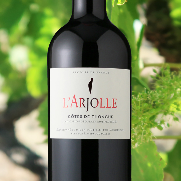 ラルジョル・ルージュ （赤ワイン フランス ラングドック） - AIwine