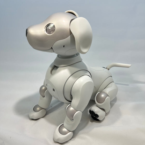 ERS-1000 – Aibo Accessories
