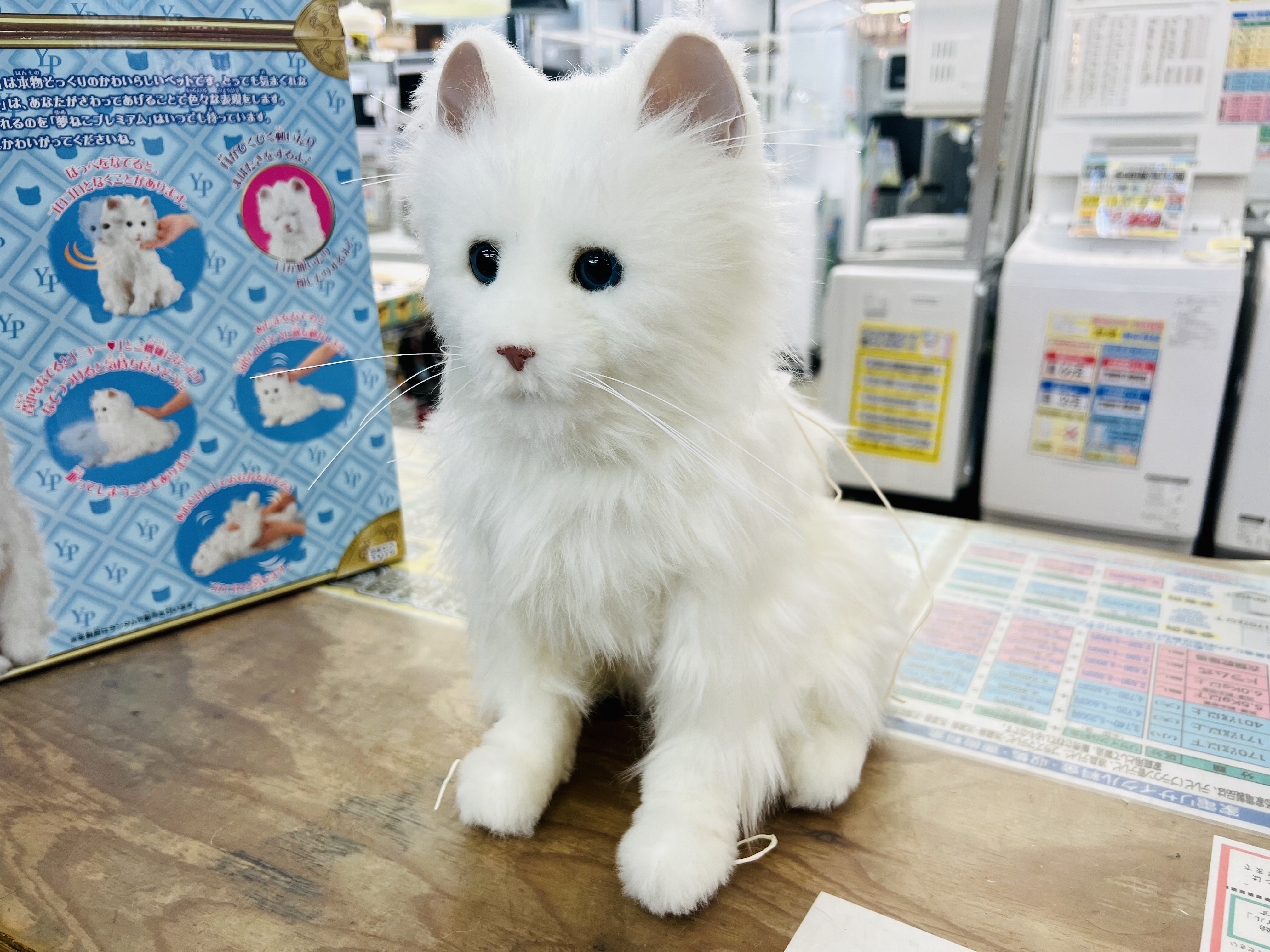 SEGA TOYS 夢ねこ プレミアム 買取致しました｜愛品館千葉店