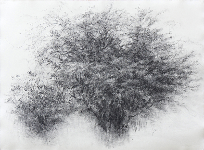 児玉靖枝 / Asyl Ⅹ ‹ ART in PARK HOTEL TOKYO 2020