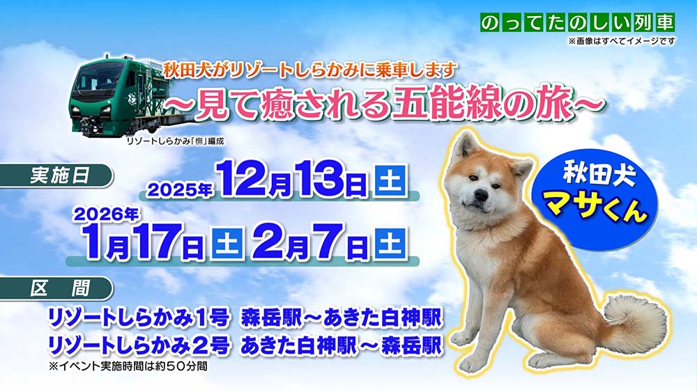 リゾートしらかみ』で秋田犬『マサ』君と過ごす 特別な時間 | えび☆ステ