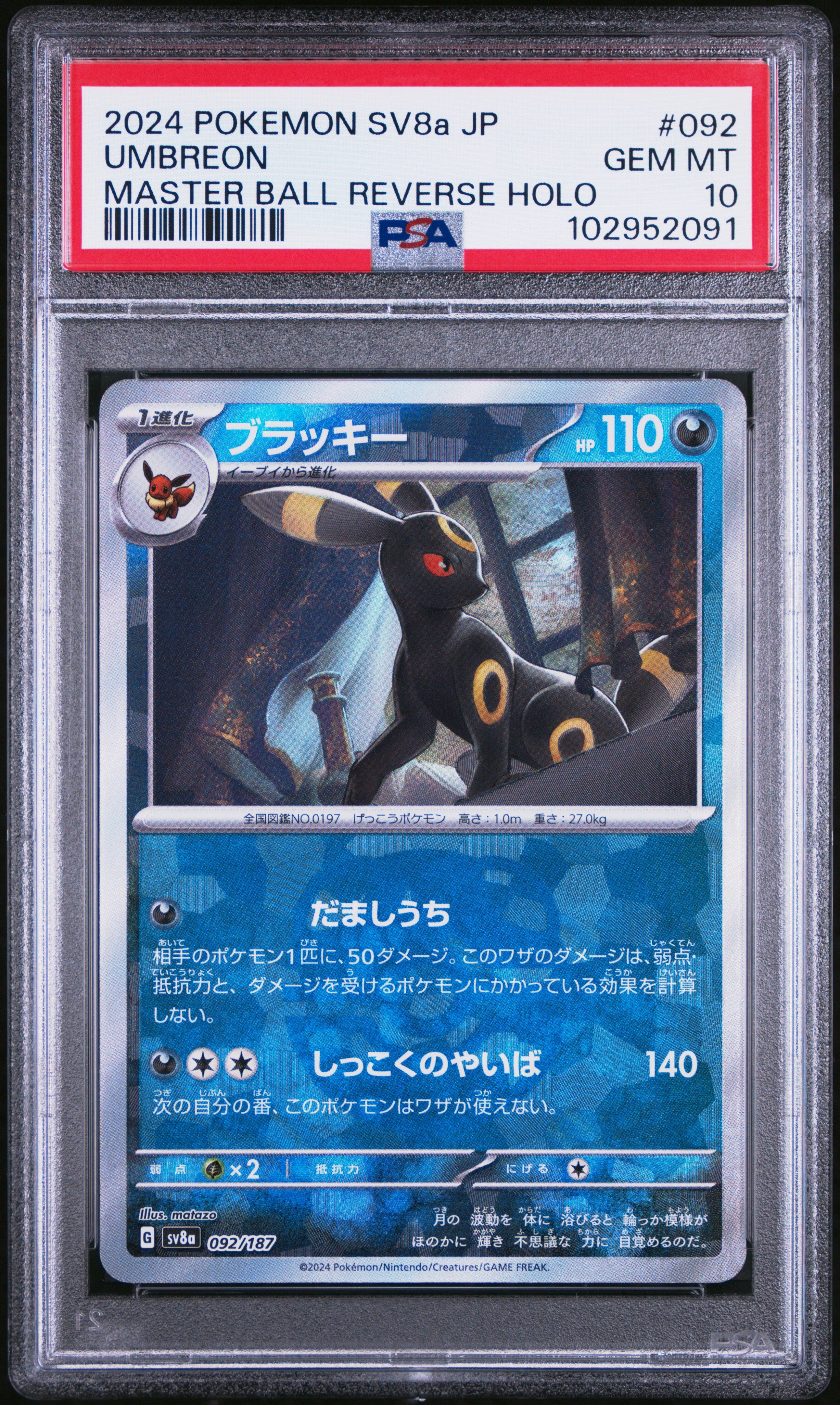 23462211-front.jpg?v=